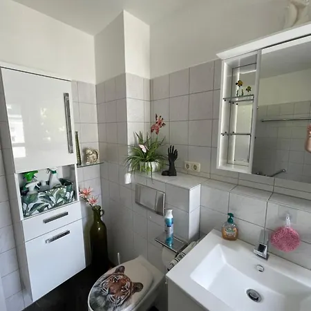 Moeblierte Wohnung Fuer Geschaeftsreisen/Ferienwohnung Plauen Stadtmitte Buitenkant foto